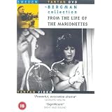 Produkt-Information