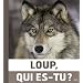 Le loup