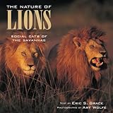 The nature of lions : social cats of the Savannas
