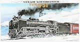 HO�^�C�v D51