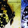 The Butterfly Effect