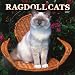 ragdoll22  - Ragdoll Cats 2007 Calendar