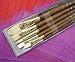 Princeton Brush Set 9148 6-pc Brstl/Sable/Tak