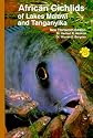 African Cichlids of Lakes, Malawi, and Tanganyika