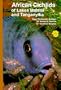 African Cichlids of Lakes, Malawi, and Tanganyika
