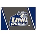 University of New Hampshire Rug - Blue/ Gray (Rectangle)