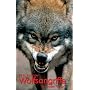Wolfsangriffe - Fakt oder Fiktion?