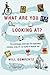 What Are You Looking At?: The Surprising, Shocking, and Sometimes Strange Story of 150 Years of Modern Art