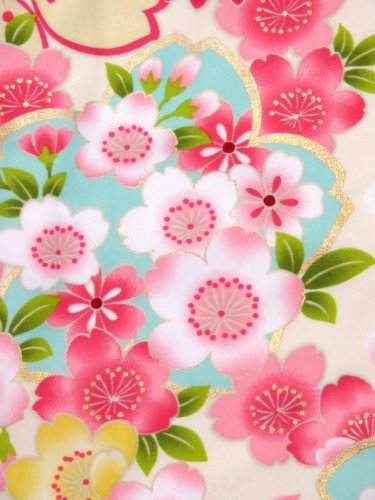 白系、桜と菊】 KKF13-38 [菊花红色和白色系