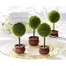 Kate Aspen 22011GN Topiary Place Card Holder