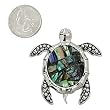 Silvertone Abalone Turtle Magnetic Brooch Pin
