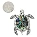Silvertone Abalone Turtle Magnetic Brooch Pin