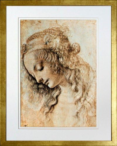 Woman's Head in Profile by Leonardo da Vinci. Framed Art Print Poster. Custom Made Real Wood Modern Scratched Gold Frame (17 1/8 x 21 1/8)