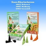 KNOX Pine Scented Incense Cones, Pack of 24