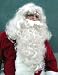 Top Quality Santa Wig and Beard Set