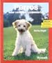 Perros - Saber Cuidarlos y Comprenderlos - (Spanish Edition)