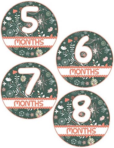 Gray Floral Milestone Month Stickers for Baby Girl, Babyshower Gift, Baby to Belly, Baby Age Stickers, Watch Me Grow