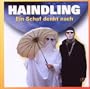 Ein Schaf Denkt Nach