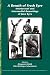 A Breath of Fresh Eyre: Intertextual and Intermedial Reworkings of Jane Eyre. (Internationale Forschungen Zur Vergleichenden Literaturwissenschaft)