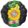 F.M. Browns Blb Finch Instant Feeder