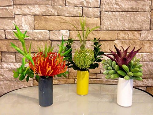 Artificial Succulent and Needle Protea Bouquet in Small Ceramic Vase - Set of 3, Office Home Decor accent for Gift, Handcrafted at thefloralmart
