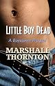 Little Boy Dead (Nick Nowak Mysteries)