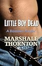 Little Boy Dead (Nick Nowak Mysteries)