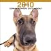 German Shepherd 2010 Square Wall ARTLIST (Multilingual Edition)