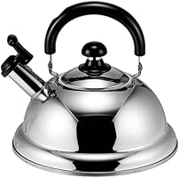 竹井器物製作所 クイックワン 省エネ笛吹きケトル 2.5L TK-250