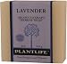 Lavender Aromatherapy Herbal Soap