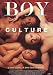Boy Culture Poster Movie Spanish 11x17 Darryl Stephens Jonathon Trent Derek Magyar Patrick Bauchau