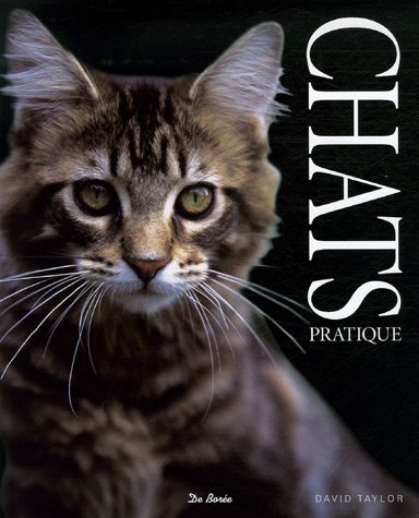 City Travel Guides Discounted  Livres : Les chats