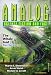Analog Science Fiction and Fact