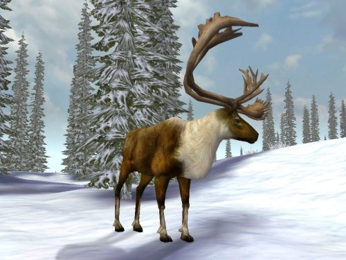 Cabela's Legendary Adventures image