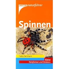 Spinnen, die wichtigsten heimischen Arten. Extra: Netzformen und Eikokons