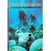 Underwater Archaeology: Exploring the World Beneath the Sea (New Horizons)