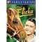 Horse Movies