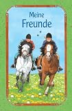 Meine Freunde, Motiv Pferde