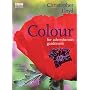 Colour for Adventurous Gardeners