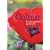 Colour for Adventurous Gardeners