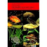 cichlids from west africa