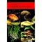 Best Dwarf Cichlid Books