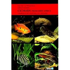 Cichlids from West Africa