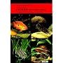 Cichlids from West Africa