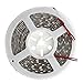 SUPERNIGHT DC12V 16.4Ft Blue 5050SMD 300LED Waterproof Flexible LED Light Strip