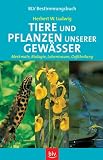 Tiere und Pflanzen unserer Gew&auml;sser - Merkmale, Biologie, Lebensraum, Gef&auml;hrdung - Herbert W. Ludwig, Norbert Becker, Harald Gebhardt