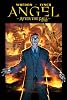 Angel: After the Fall Volume 2 - First Night TPB: After the Fall - First Night v. 2 (Angel (IDW Paperback))