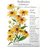 Heirloom Rudbeckia Fulgida Goldstrum Seeds - Black-Eyed Susan Flowers
