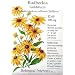 Rudbeckia Fulgida Goldstrum Black Eyed Susan Heirloom Seeds