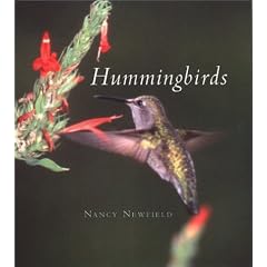 Hummingbirds